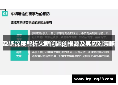 赵鹏深度解析欠薪问题的根源及其应对策略