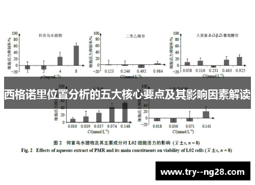 西格诺里位置分析的五大核心要点及其影响因素解读