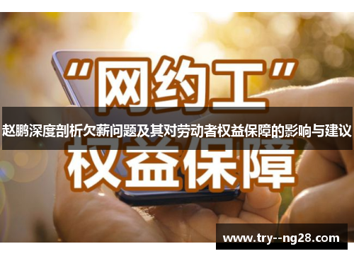 赵鹏深度剖析欠薪问题及其对劳动者权益保障的影响与建议
